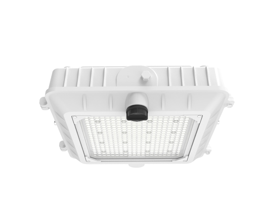 comprare Luce di copertura della stazione di servizio a LED con temperatura di funzionamento da -30°C a 45°C e colore bianco RAL 1127 fabbricazione online