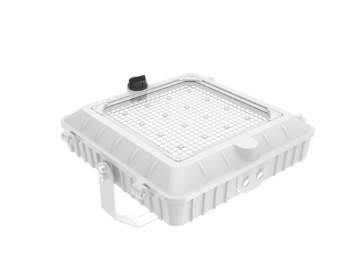 comprare 150W A Level LED Parcheggio Garage Canopy Light per edifici commerciali fabbricazione online