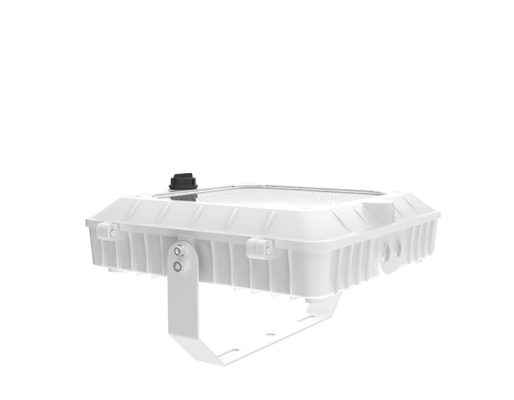 120-277V 50/60Hz Input Voltage Canopy Light LED con resistenza agli urti IK 07 in bianco
